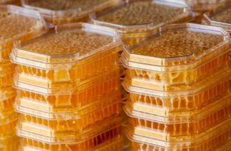 мед в сотах