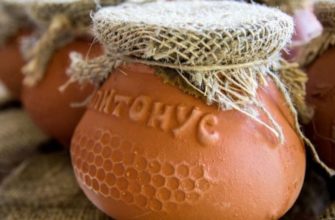 мед апитонус