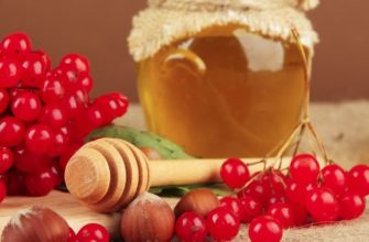 калина с медом
