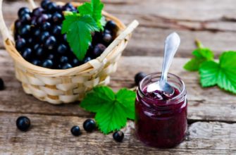 черная смородина с медом
